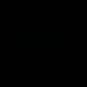 Meet your Posher, Aiden